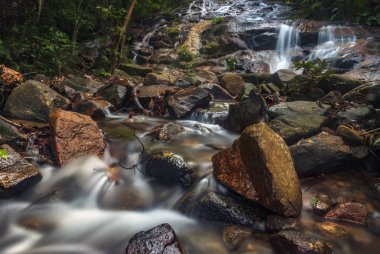 Yeşil forest.wet rock tarafından çevrili gür ve atış moss.selective odak güzel tropik şelale. 