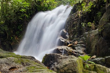 Yeşil forest.wet rock tarafından çevrili gür ve atış moss.selective odak güzel tropik şelale. 