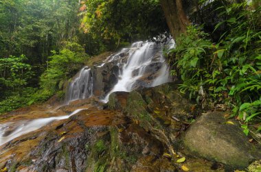 Yeşil forest.wet rock tarafından çevrili gür ve atış moss.selective odak güzel tropik şelale. 
