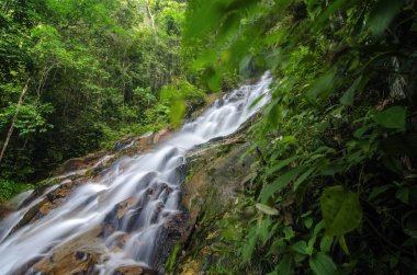 Yeşil forest.wet rock tarafından çevrili gür ve atış moss.selective odak güzel tropik şelale. 