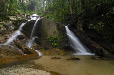 Yeşil forest.wet rock tarafından çevrili gür ve atış moss.selective odak güzel tropik şelale. 