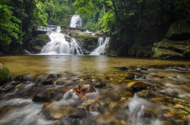 Yeşil forest.wet rock tarafından çevrili gür ve atış moss.selective odak güzel tropik şelale. 
