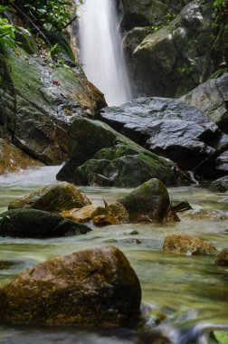 Yeşil forest.wet rock tarafından çevrili gür ve atış moss.selective odak güzel tropik şelale. 