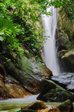 Yeşil forest.wet rock tarafından çevrili gür ve atış moss.selective odak güzel tropik şelale. 