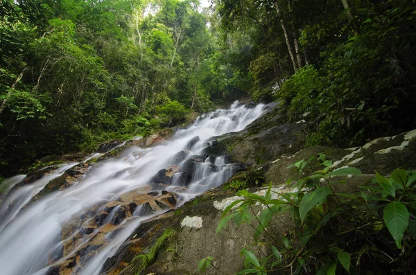 Beautiful tropical waterfall in lush surrounded by green forest.wet rock and moss.selective focus shot.