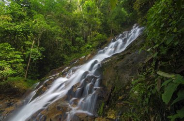 Yeşil forest.wet rock tarafından çevrili gür ve atış moss.selective odak güzel tropik şelale. 