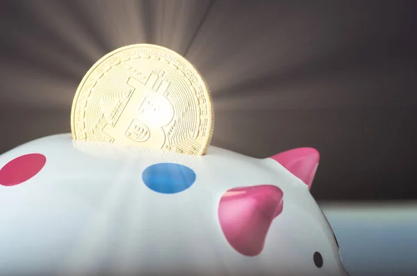 Altın Bitcoin üzerinde ve domuzcuk üzerinde yavaşça aydınlatılmış koyu arka plan ve ışık ışını — Stok fotoğraf