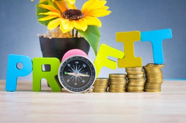 güzel yankı gradyan arka plan üzerinde ahşap masada sikke ve kelime Kar istifleme