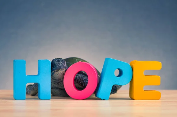 HOPE word made from wooden letter on desk over gently lit dark background — Stock Photo, Image