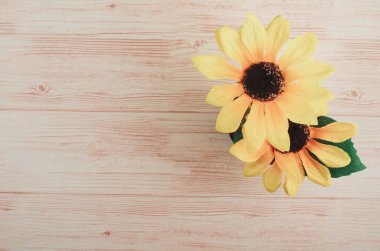 ahşap masa arka plan üzerinde üst görünüm yapay bitki