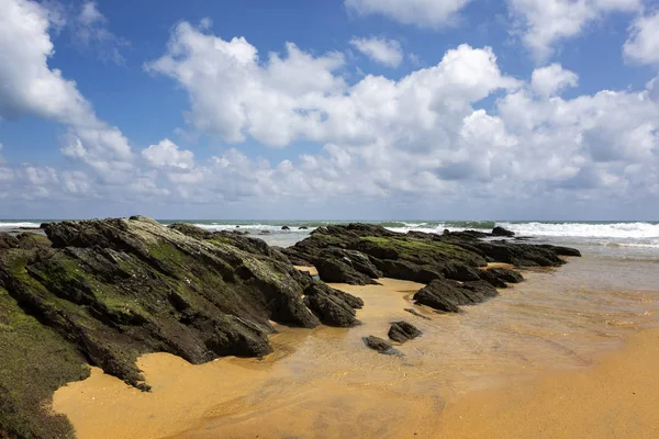 Playa de arena tropical en el soleado cielo day.blue y el agua de mar torquesa . — Foto de Stock