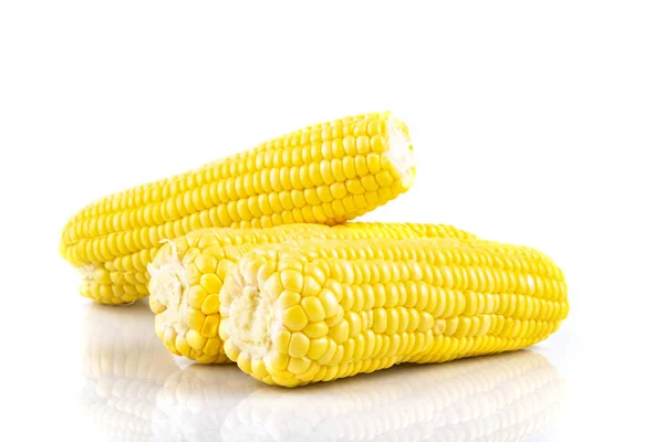 Maïs doux cru frais sur les épis de maïs sur fond blanc — Photo