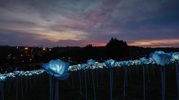 Time Lapse Clip Led Roses Sunset Background Cloud Motion Underexpose — Stock Video