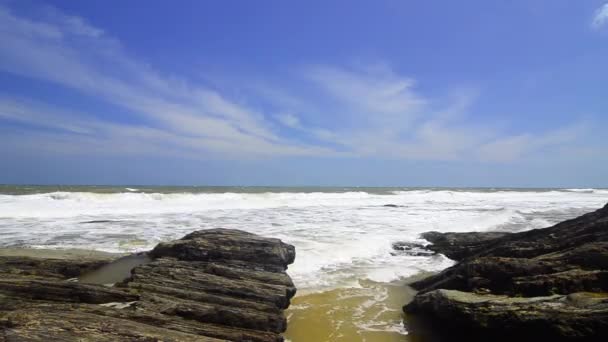 Záběry tropického koření za jasného slunečného dne a modrých nebeských pozadí. vlny dopadajícího na břeh — Stock video