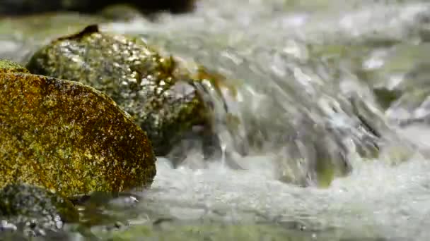 Closeup of fresh water flowing across the mossy stone in tropical rainforest — Stock Video