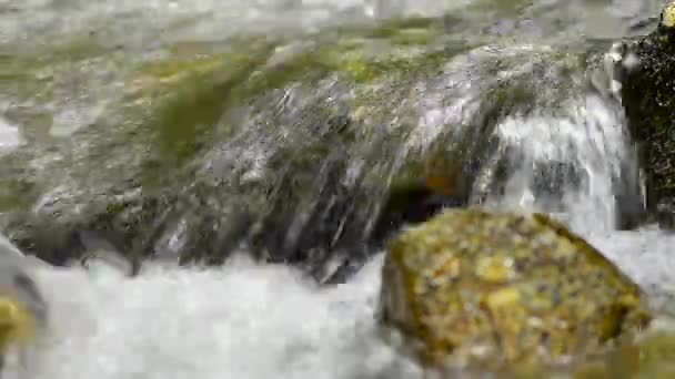 Closeup of fresh water flowing across the mossy stone in tropical rainforest — Stock Video