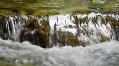_Yon5878.Mov