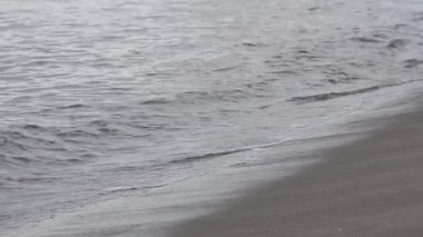 Tropik plaj okyanus dalgaları manzara kum kıyıları ve ses vurdu