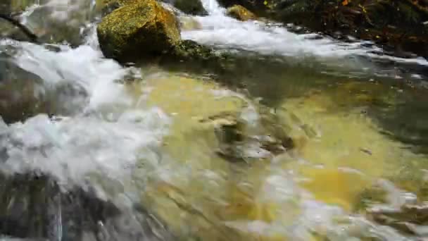Imágenes de cerca, rápidos fluyendo a través de la roca musgosa — Vídeo de stock