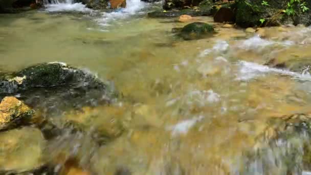 Close-up beelden, rivier stroomversnellingen die door Mossy Rock stromen — Stockvideo