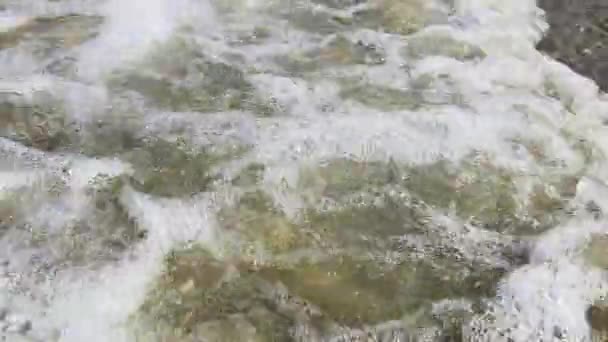 Оболонки на дні моря вражають запеклими хвилями — стокове відео