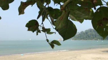 Parlak güneşli bir gün altında tropikal kumlu plaj