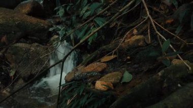 Görüntüleri kapatın, yosunlu kayanın içinden akan nehir akıntıları 