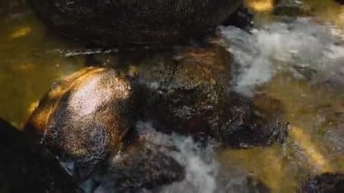 Görüntüleri kapatın, yosunlu kayanın içinden akan nehir akıntıları 