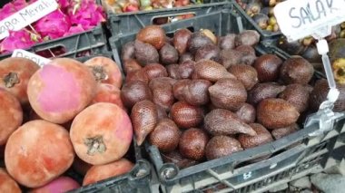 Egzotik tropikal meyve çeşitleri Kundasang, Sabah, Malezya'da bulunabilir.