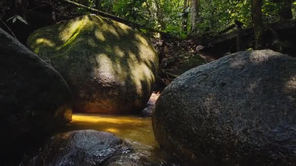 Görüntüleri Kapatın Yosunlu Kayanın Içinden Akan Nehir Akıntıları — Stok video