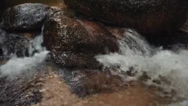 Görüntüleri Kapatın Yosunlu Kayanın Içinden Akan Nehir Akıntıları — Stok video