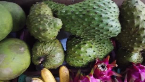 Rozmanitost exotických tropických plodů najdete v Kundasangu, Sabah, Malajsii — Stock video