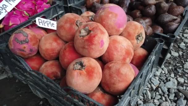 Variedade de frutas tropicais exóticas pode ser encontrada em Kundasang, Sabah, Malásia — Vídeo de Stock