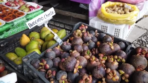 Różnorodność egzotycznych owoców tropikalnych można znaleźć w Kundasang, Sabah, Malaysia — Wideo stockowe