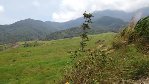 Bela paisagem da fazenda de laticínios localizada em Sabah, Malásia sobre o fundo do Monte Kinabalu — Vídeo de Stock