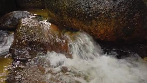 Close Footage River Rapids Flowing Mossy Rock — Stock Video