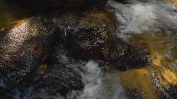 Close Beelden Rivier Stroomversnellingen Die Door Mossy Rock Stromen — Stockvideo