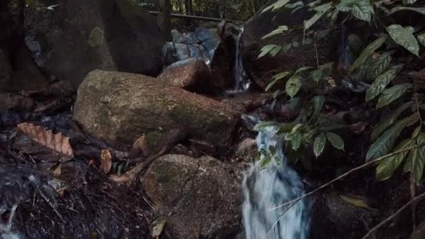 Close Beelden Rivier Stroomversnellingen Die Door Mossy Rock Stromen — Stockvideo