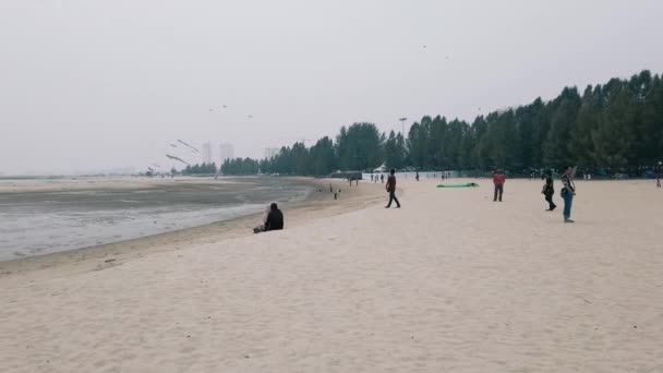 MALACCA, MALAYSIA - 15 SETTEMBRE 2019, fumo foschia circonda la spiaggia tropicale, la foschia è il problema principale a causa della combustione delle foreste per le attività di piantagione — Video Stock