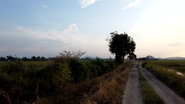 Imágenes de Timelapse del arrozal sobre el fondo del amanecer — Vídeo de stock