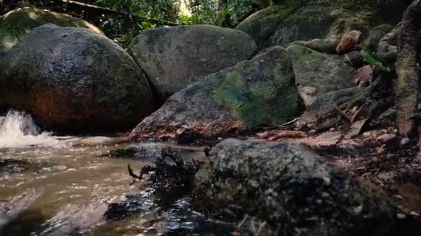 特写镜头 流经青苔岩石的河流急流 — 图库视频影像