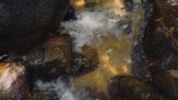 特写镜头 流经青苔岩石的河流急流 — 图库视频影像