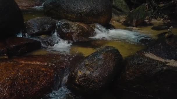 特写镜头 流经青苔岩石的河流急流 — 图库视频影像