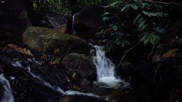 Imagens Perto Corredeiras Fluindo Através Rocha Musgosa — Vídeo de Stock