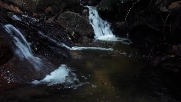 Close Footage River Rapids Flowing Mossy Rock — Stock Video
