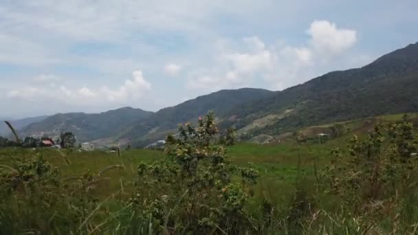 Sabah, Malezya'da bulunan süt çiftliğinin güzel manzarası, Kinabalu Dağı'nın arka planı üzerinde — Stok video