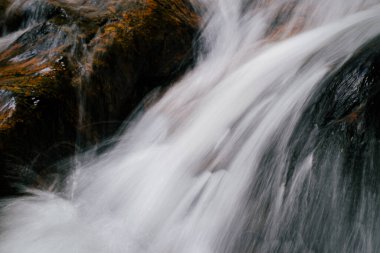 Yakın plan çekim. Tropikal yağmur ormanlarında akan şelale akıntısı ve taşın üzerindeki ıslak yosunlar. seçici odak çekimi