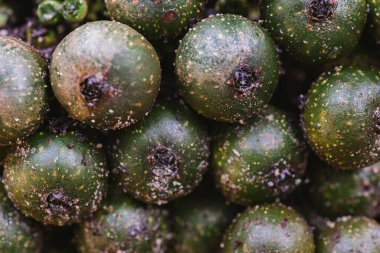 Macro, yağmur ormanlarındaki ağaçtaki bir grup yabani meyveyi yakından çekti. seçici odak çekimi