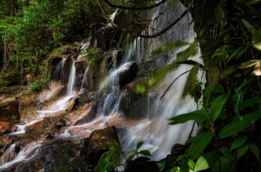 Tropikal yağmur ormanlarında akan şelale akıntısı ve taşı kaplayan yosunlar. seçici odak çekimi