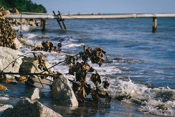Повстання Природи Хвиля Вражає Скелястий Пляж Під Яскравим Сонячним Днем — стокове фото